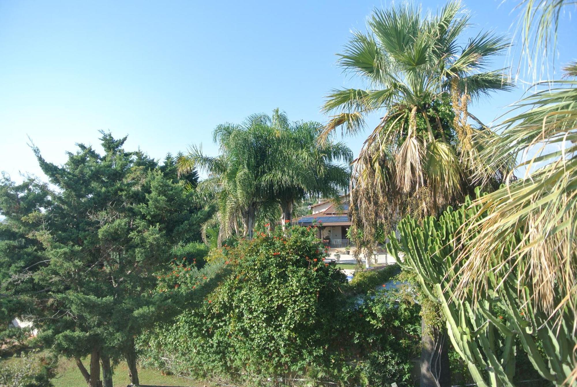 Villa Carlotta Resort San Leone Exterior photo